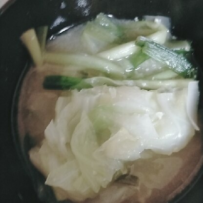 美味しかったです♫ニラと白菜いい組み合わせですね！レシピありがとうございます(୨୧•͈ᴗ•͈)◞ᵗʱᵃᵑᵏઽ*♡